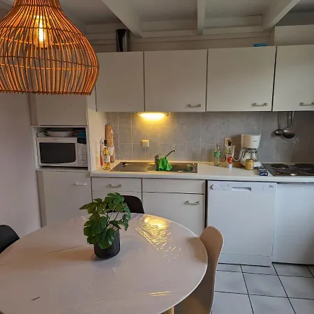 Ferienhaus - Duinendaele Ii 208