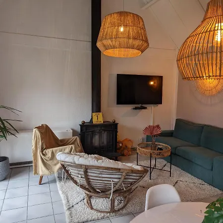 Vakantiehuis Ferienhaus - Duinendaele Ii 208